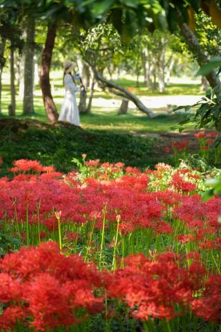 新品)SIGMA (シグマ) Contemporary 20-200mm F3.5-6.3 DG