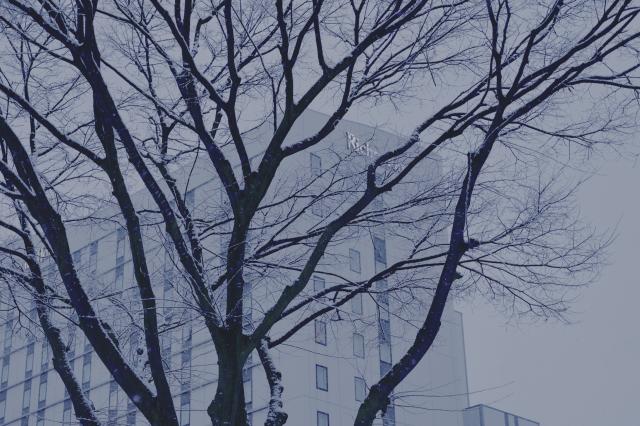 【美品】Canon RF100-400mm F5.6-8 IS USM 新品)Canon (キヤノン) EOS R6 Mark II RF24-105mm F4Lレンズキット