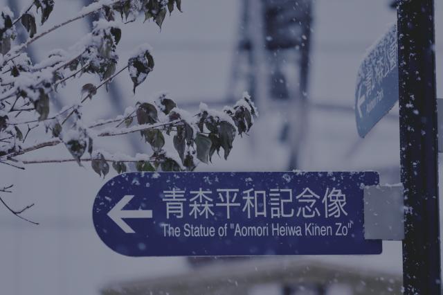 【美品】Canon RF100-400mm F5.6-8 IS USM 新品)Canon (キヤノン) EOS R6 Mark II RF24-105mm F4Lレンズキット