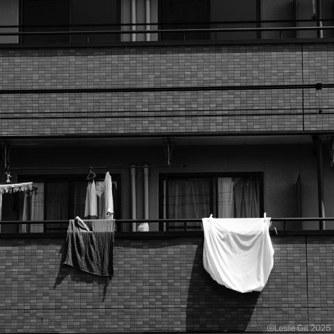 [未使用]SIGMA ズームレンズ　12-24mm F4.5-5.6 ii DG 2025年最新】Yahoo!オークション -fujifilmレンズフードの中古品