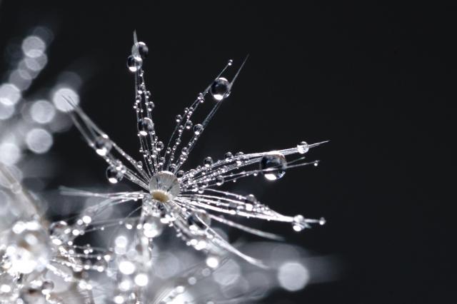 しずく Ninja adidas ZX 2K Boost Hyper Blue FZ1883 Release Date - SBD