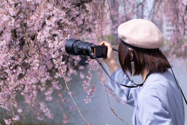 新品)SIGMA (シグマ) Contemporary 100-400mm F5-6.3 DG DN OS
