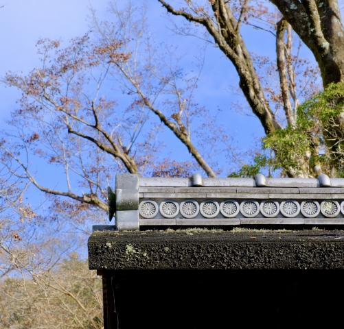 新品)SIGMA (シグマ) Contemporary 18-50mm F2.8 DC DN (フジフイルムX