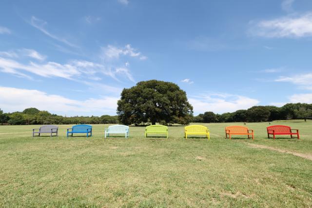 新品)Canon (キヤノン) RF-S10-18mm F4.5-6.3 IS STM（商品ID