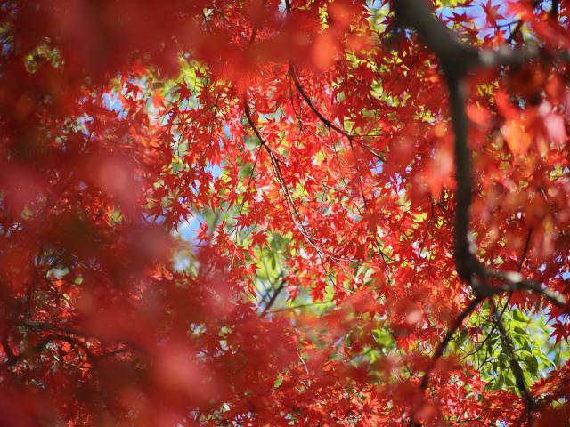 新品)OM SYSTEM（オーエムシステム） OM-3 12-45mm F4.0 PRO +