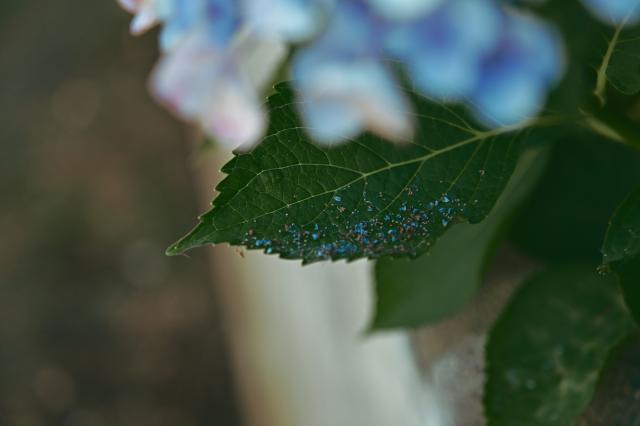 新品)TAMRON (タムロン) 28-75mm F2.8 Di III VXD G2 / Model A063Z