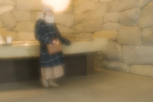 新品)FUJIFILM (フジフイルム) X-H2 XF16-80mmレンズキット（商品ID