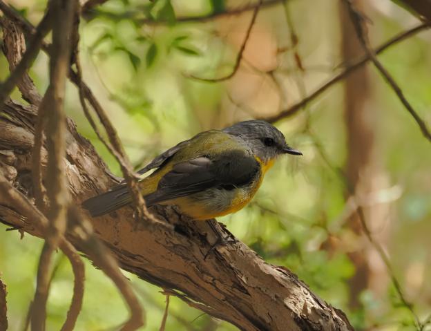 新品)OM SYSTEM（オーエムシステム） OM-1 Mark II 100-400mm II 超