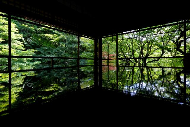 新品)Carl Zeiss (カールツァイス) Touit 12mm F2.8（フジフイルムX用