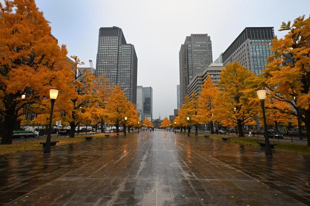 新品)Nikon (ニコン) NIKKOR Z DX 12-28mm F3.5-5.6 PZ VR（商品ID