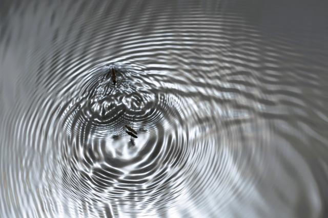 新品)SONY (ソニー) FE 135mm F1.8 GM SEL135F18GM（商品ID