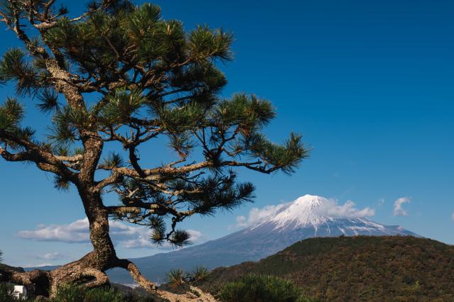 新品)Panasonic (パナソニック) LUMIX S5II 標準ズームレンズキット DC