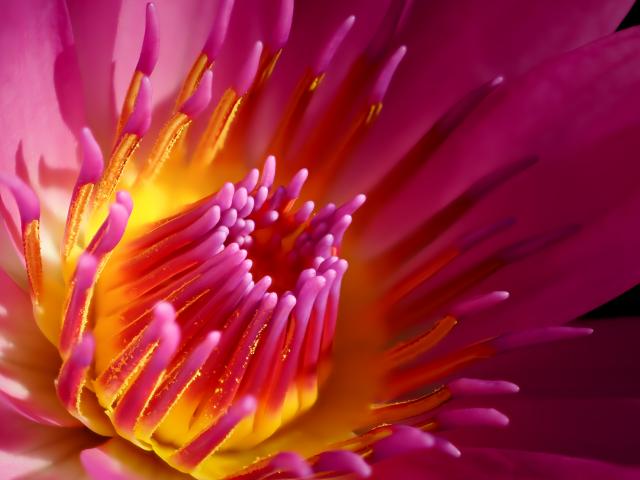 レンズ(ズーム) Nikon AF NIKKOR 80-400mm F4.5-5.6 D ED 新品)OM SYSTEM（オーエムシステム） OM-3 12-45mm F4.0 PRO +