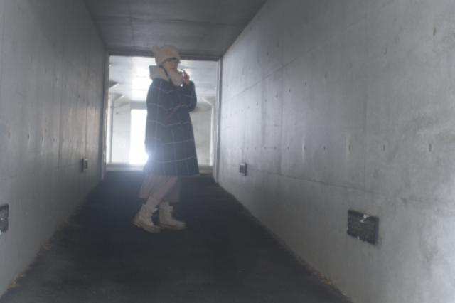 新品)FUJIFILM (フジフイルム) X-H2 XF16-80mmレンズキット（商品ID