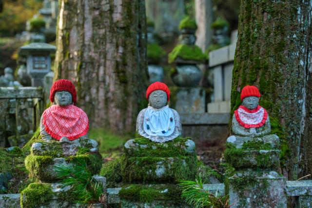 新品)TAMRON (タムロン) 18-300mm F3.5-6.3 Di III-A VC VXD/Model